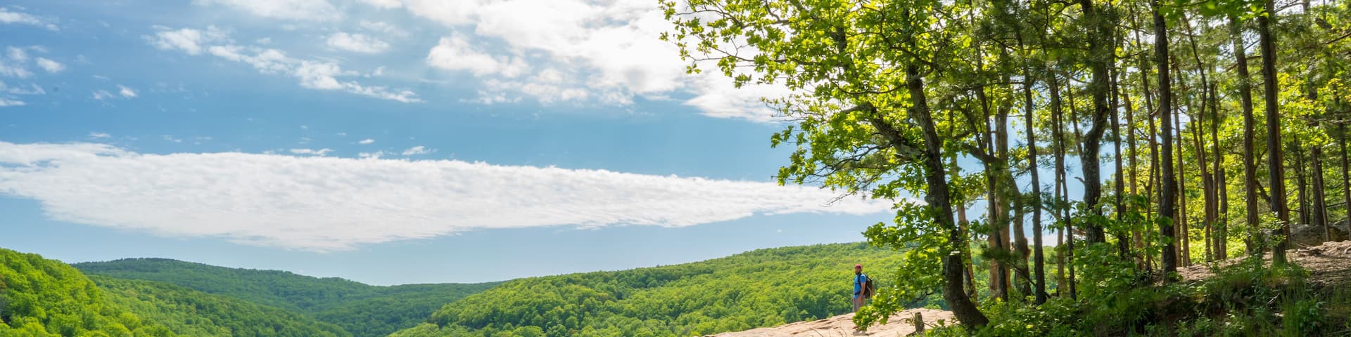 A person standing on a cliff overlooking a dense forest.