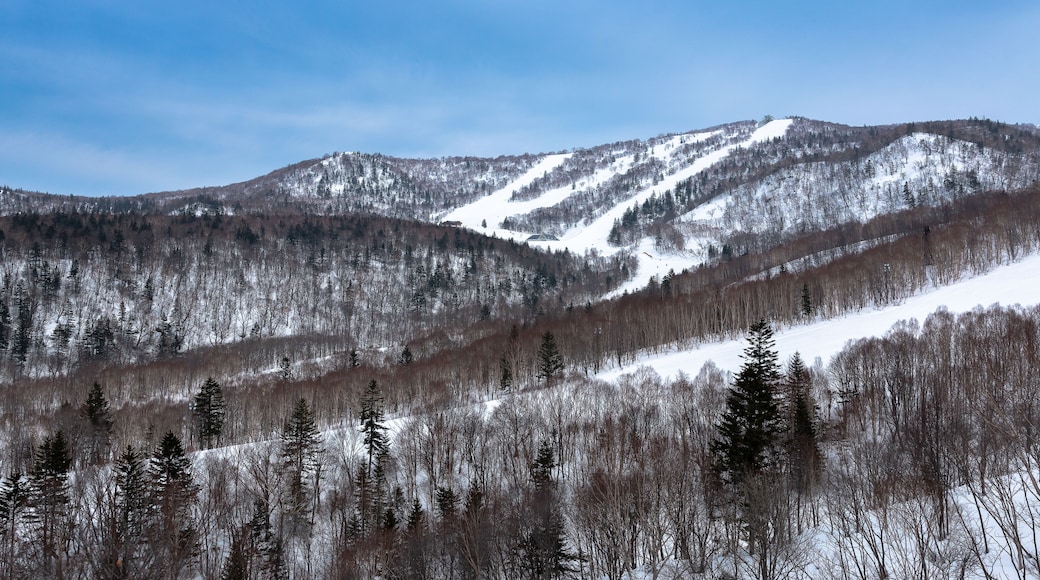 Kiroro Ski Resort , Hokkaido, Japan - March 18, 2016: Skiers and Snowboarders Ride the Gondola at Kiroro Ski Resort in , Hokkaido, Japan. Kiroro Ski Resort is a beautiful place to ski in Japan.