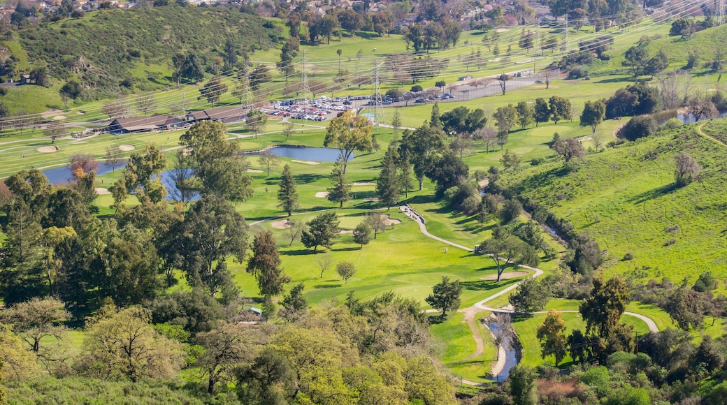 アウトドアリゾーツオブアメリカゴルフコース