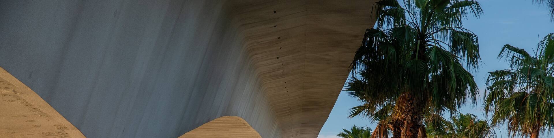 Causeway Park which includes a park as well as an individual male