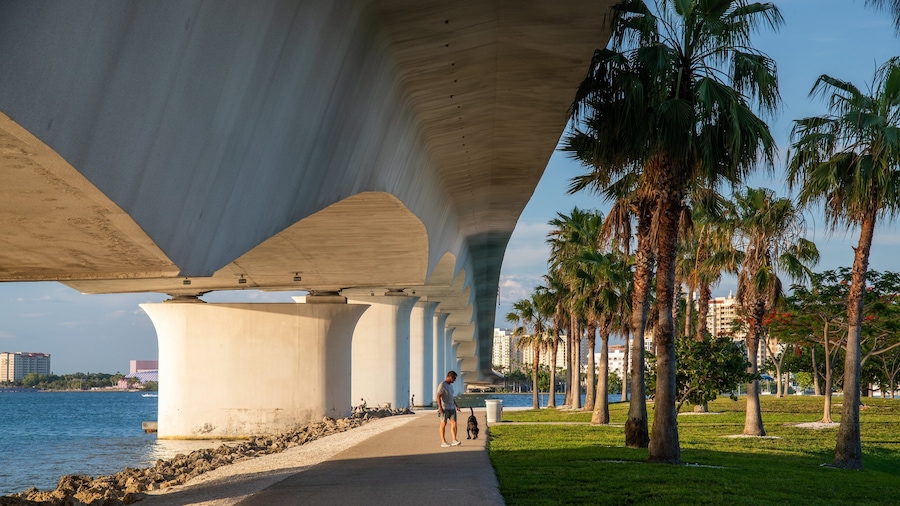 Causeway Park which includes a park as well as an individual male