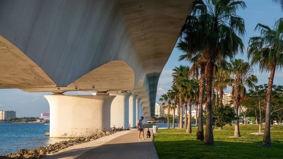 Causeway Park which includes a park as well as an individual male