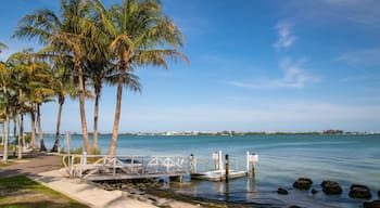 Causeway Park featuring general coastal views