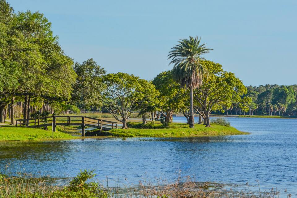 Un lago tranquilo rodeado de abundante vegetación y un puente de madera.