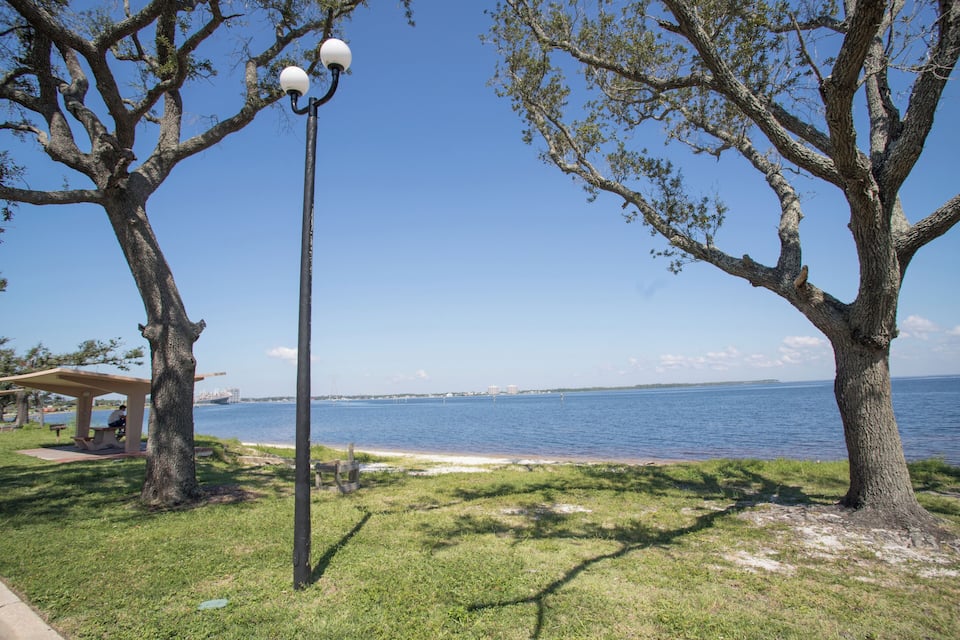 A park with a lamp post, two large trees, a bench, and a view of the water.