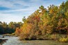 The Wetlands at Mammoth Cave National Park