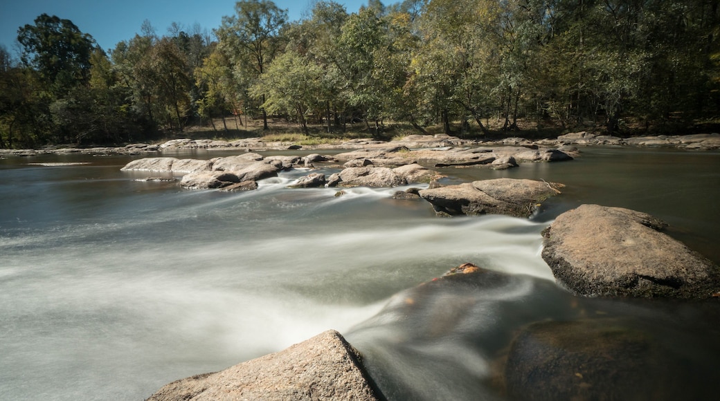 a river in South Carolina with a small waterfall and trees in the background