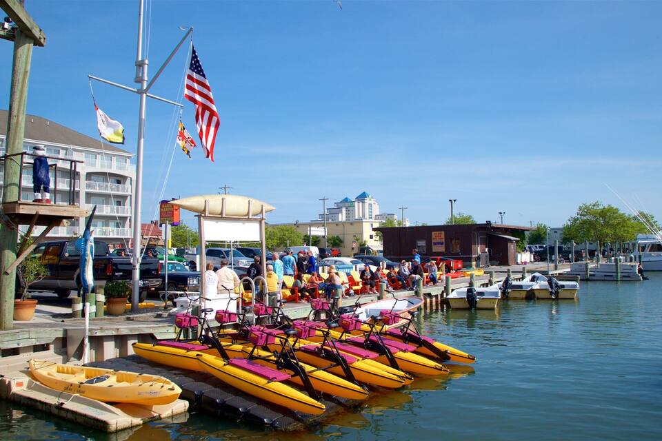 A marina with yellow and pink kayaks docked, a building with a red roof, and several flags including the American flag.
