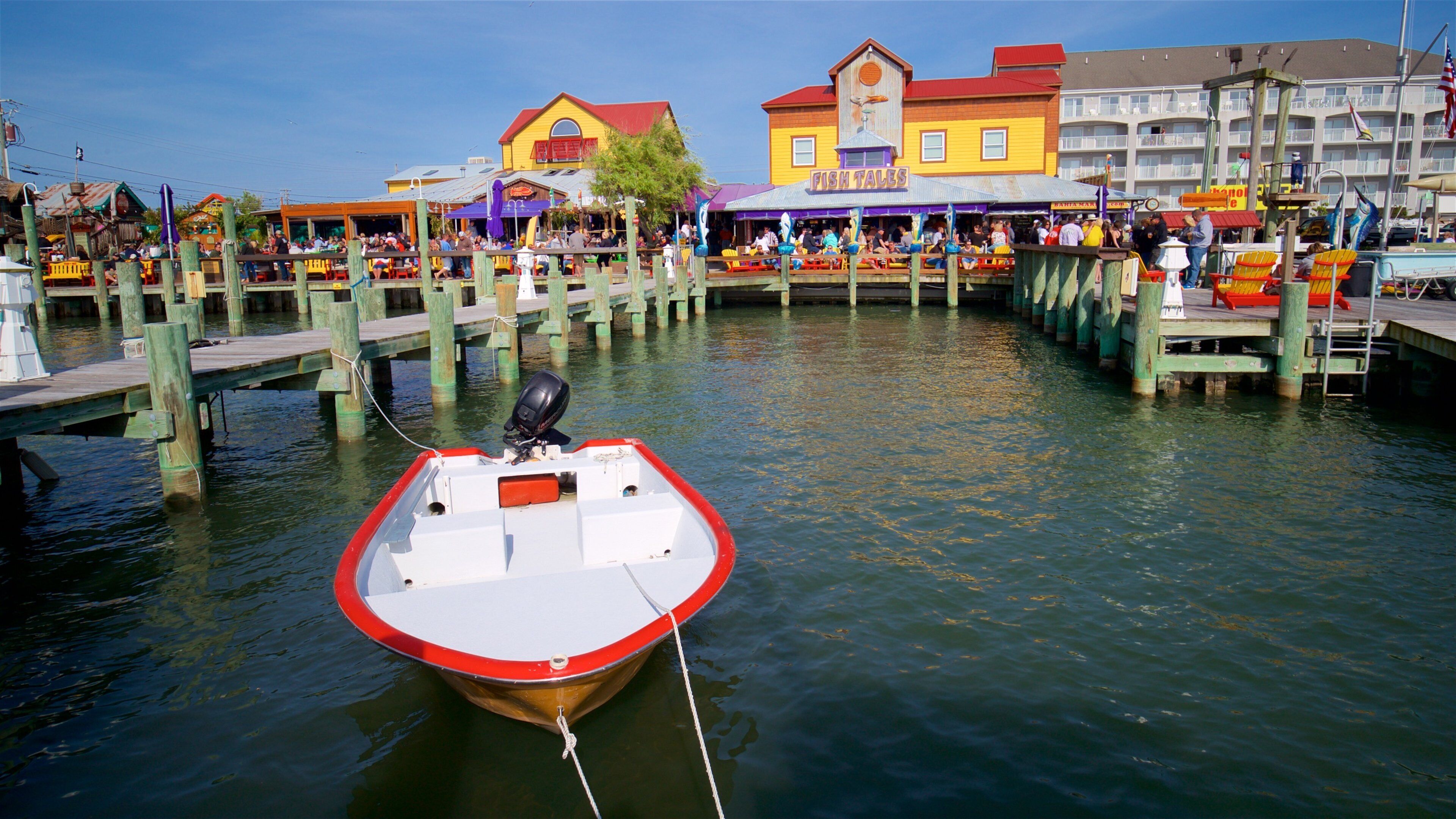 Bahia Marina showing a bay or harbor