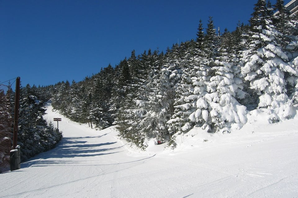 Pista de esquí nevada con árboles y un cielo azul despejado.