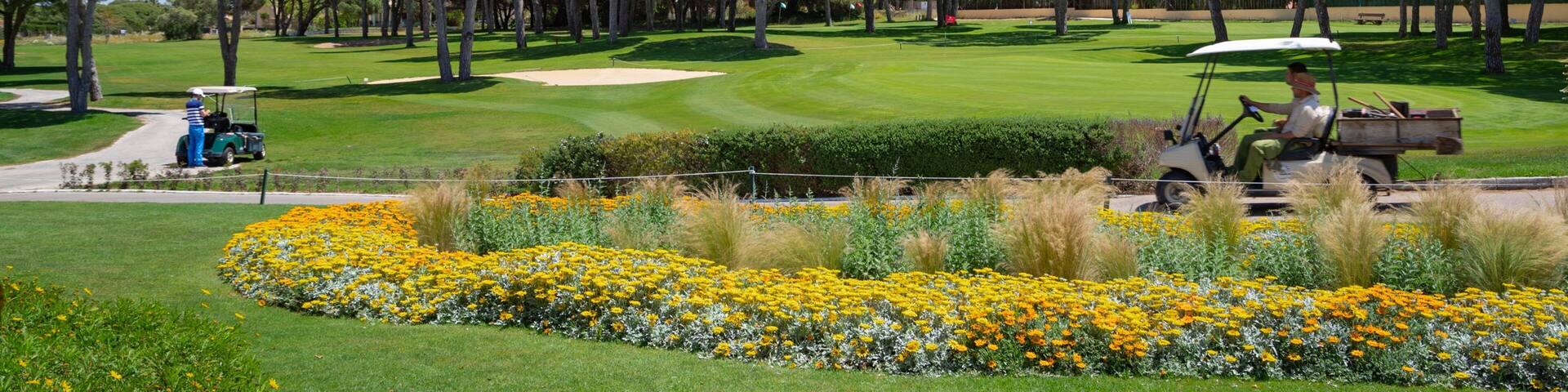 Golf Novo Sancti Petri showing flowers and golf