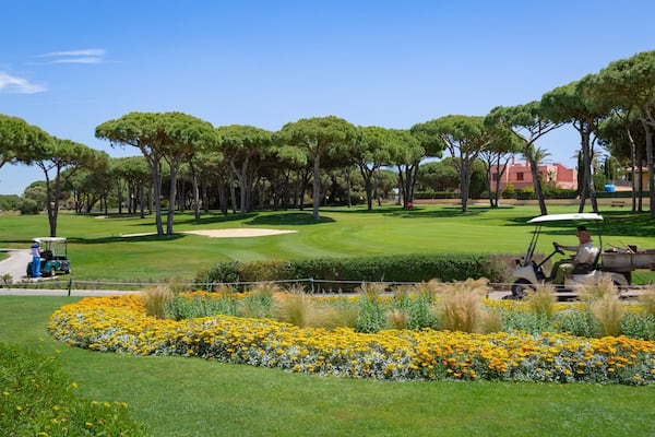 Golf Novo Sancti Petri showing flowers and golf