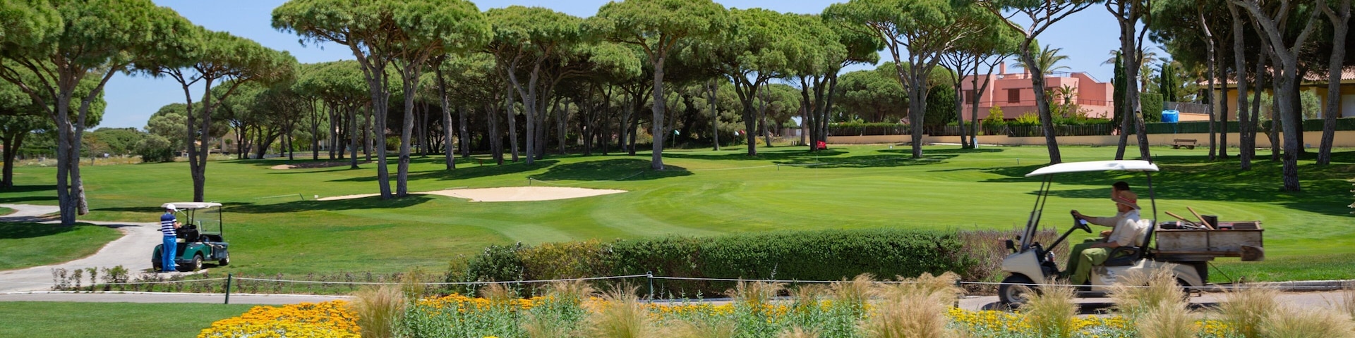 Golf Novo Sancti Petri showing flowers and golf