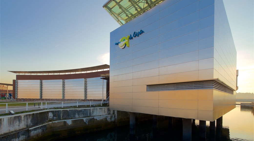 Aquarium of Gijon showing modern architecture, a sunset and signage