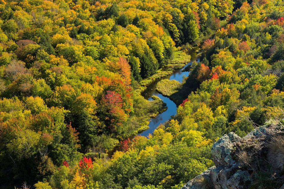 A river winding through a forest with autumn foliage.