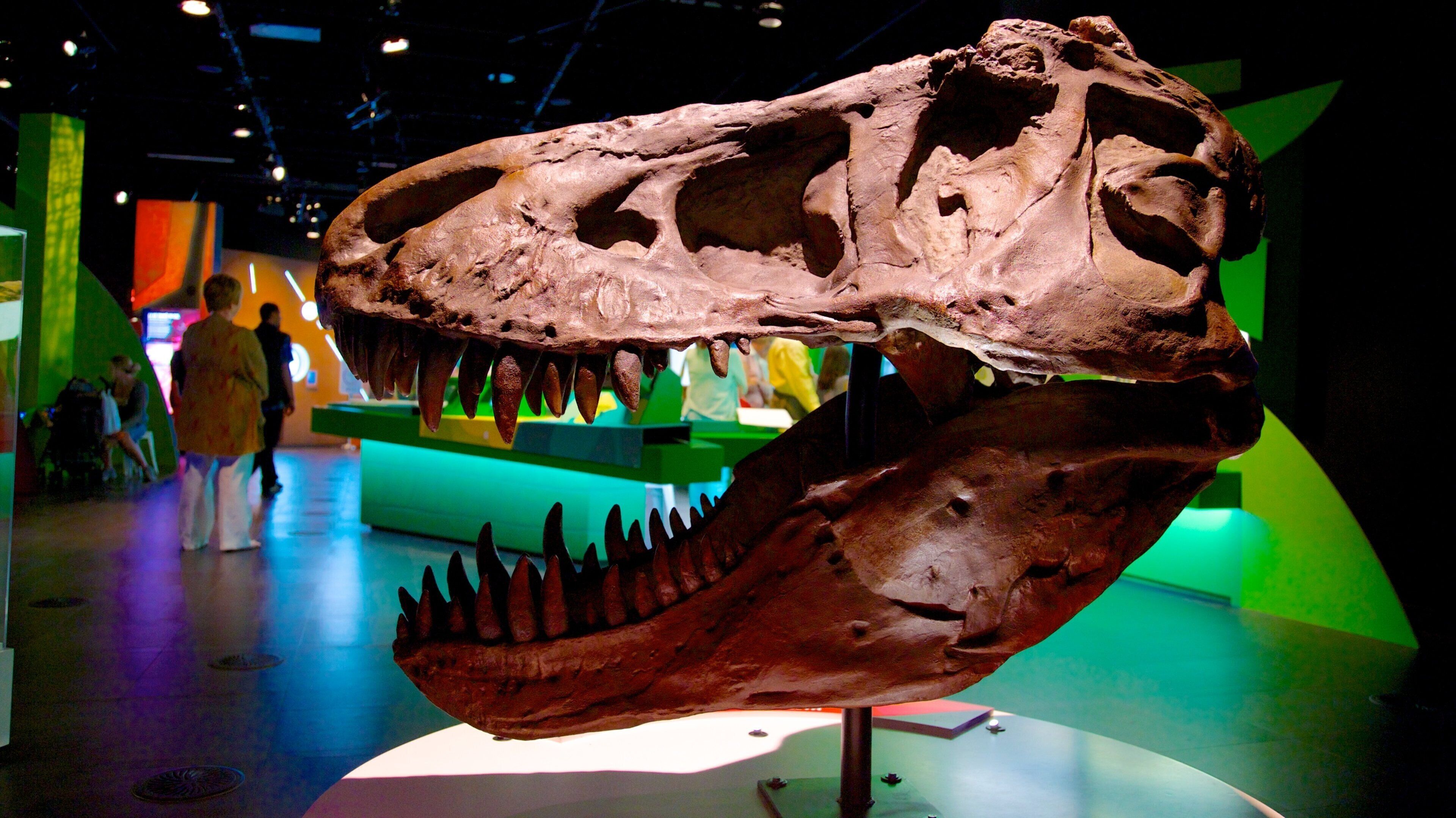 Montreal Planetarium que inclui vistas internas