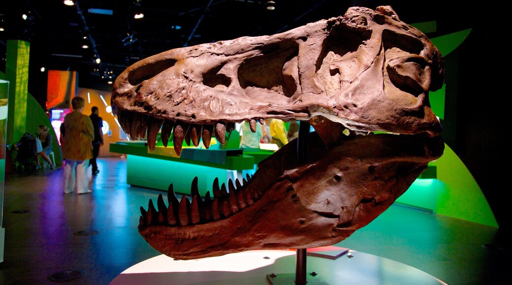 Montreal which includes interior views