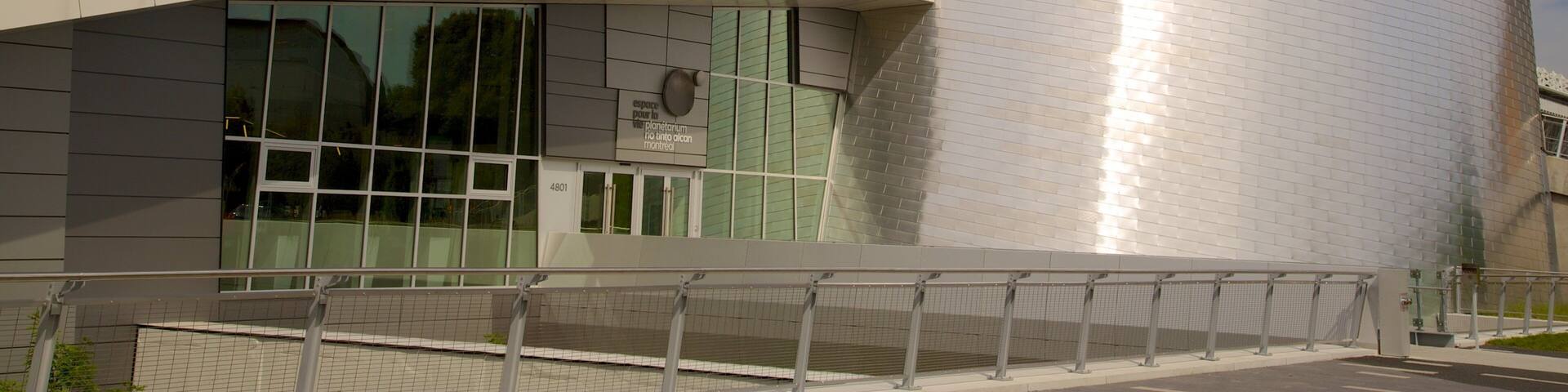 Montreal mostrando un observatorio y una ciudad