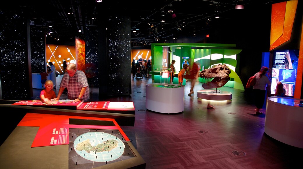 Montreal featuring interior views