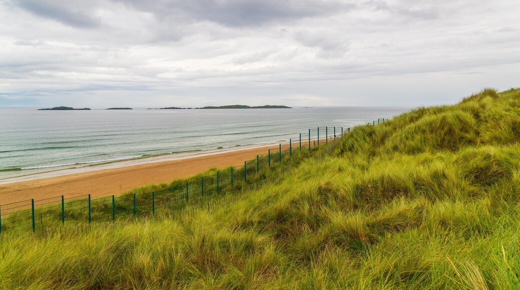 Royal Portrush Golf Course showing general coastal views