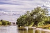 Parque Enrique Tierno Galván.
paisaje con arboles, laguna y chorro vertical sobre fondo con nubes en el parque de Enrique Tierno Galván en Madrid. España.