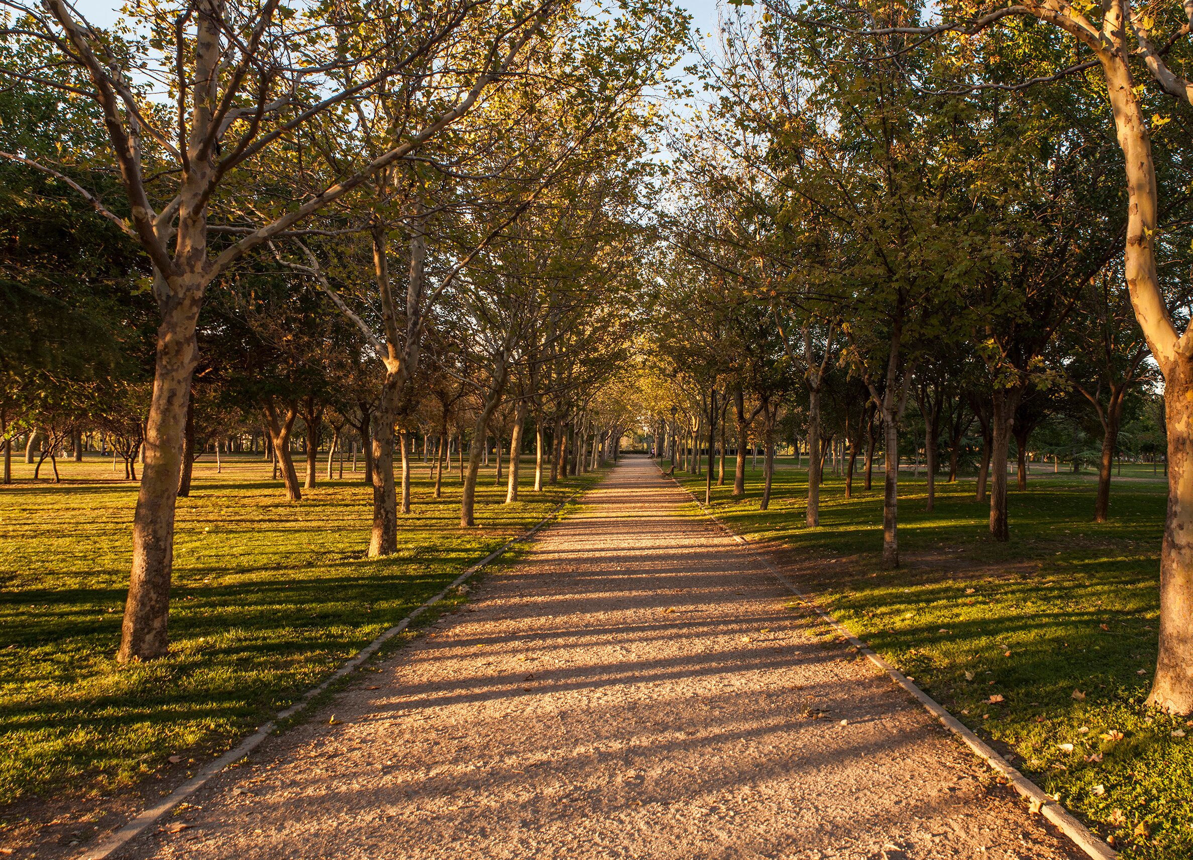 Beautiful sunset at the Tierno Galvan Park in Madrid.