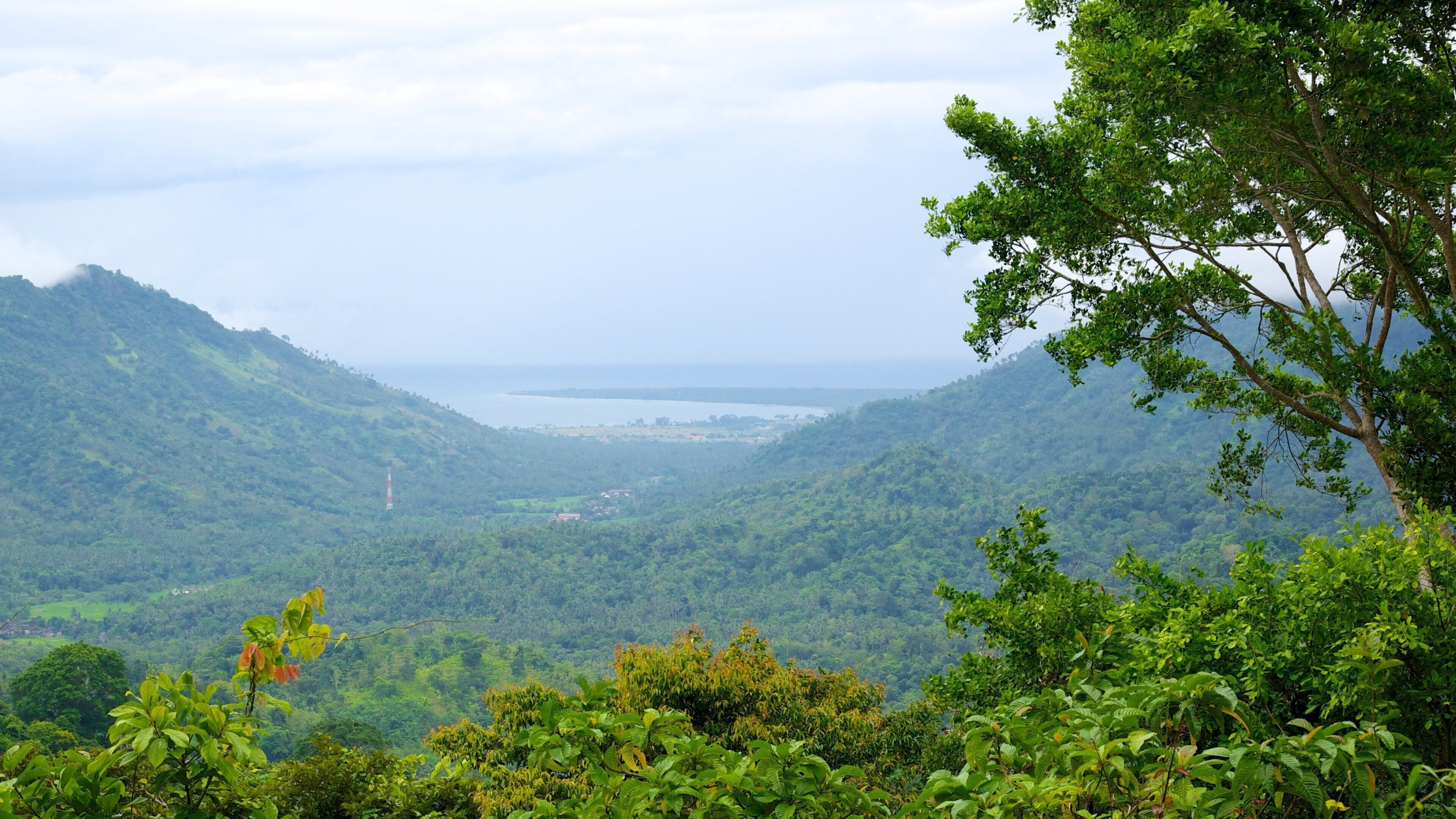 Lombok which includes forests and mountains