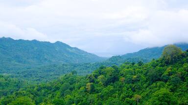 Lombok which includes mountains and forest scenes