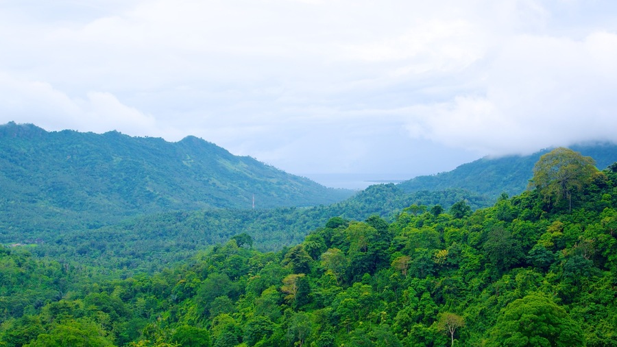 Lombok which includes forest scenes and mountains