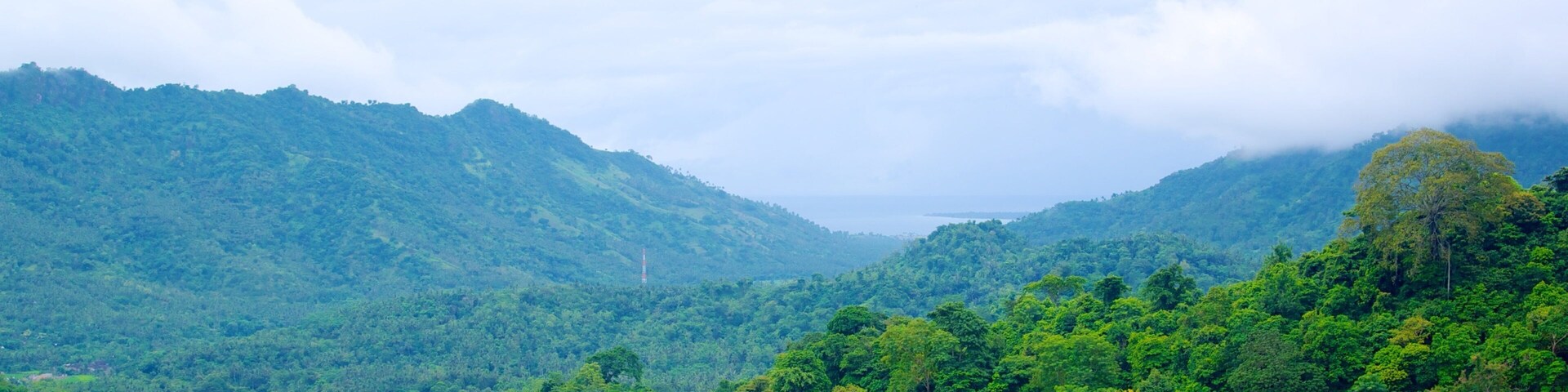 Lombok which includes mountains and forest scenes