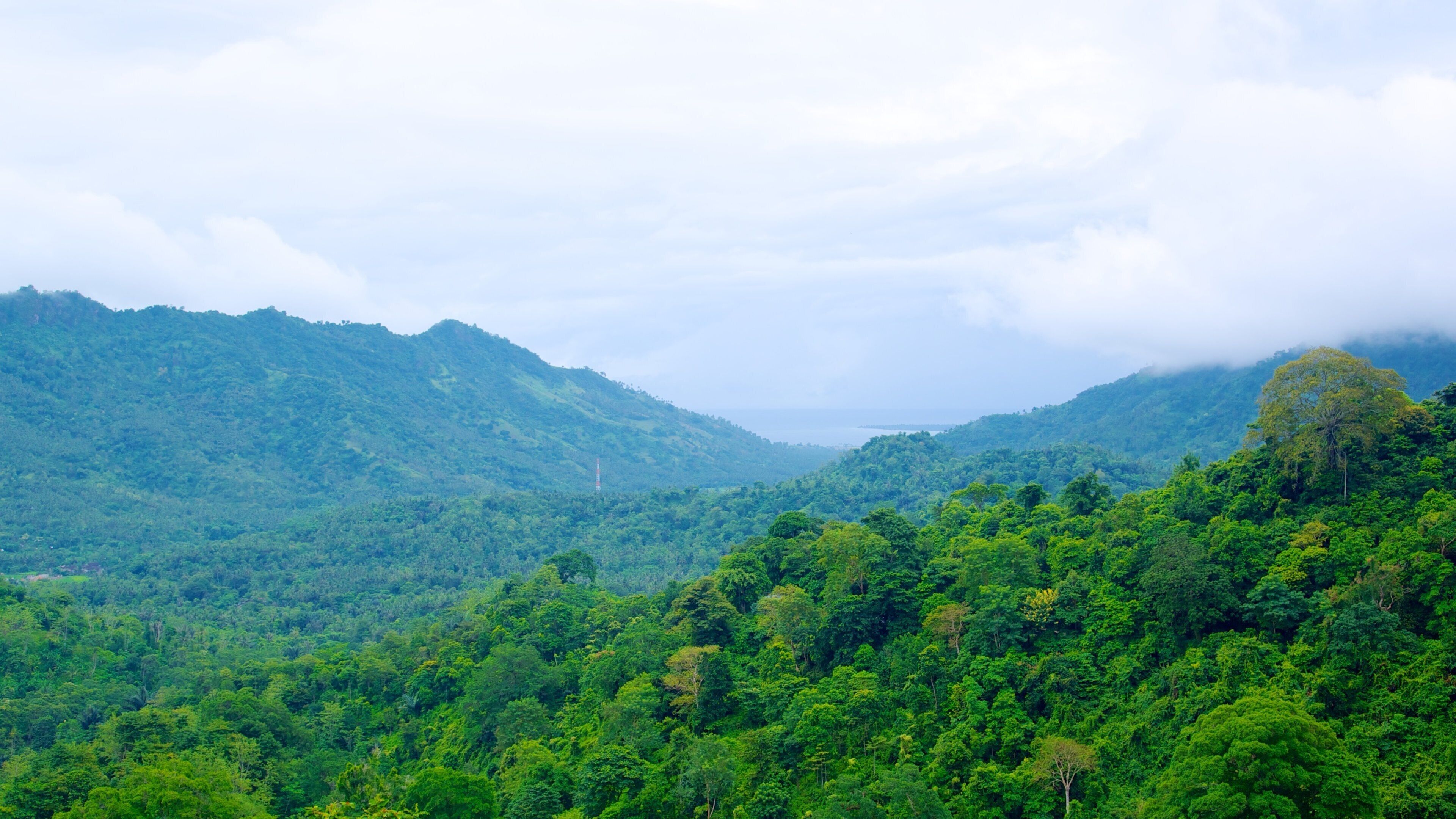 A lush green valley with dense forest and rolling hills.