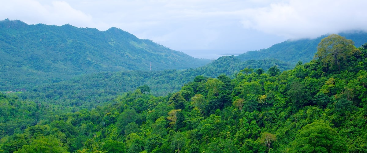 A lush green valley with dense forest and rolling hills.