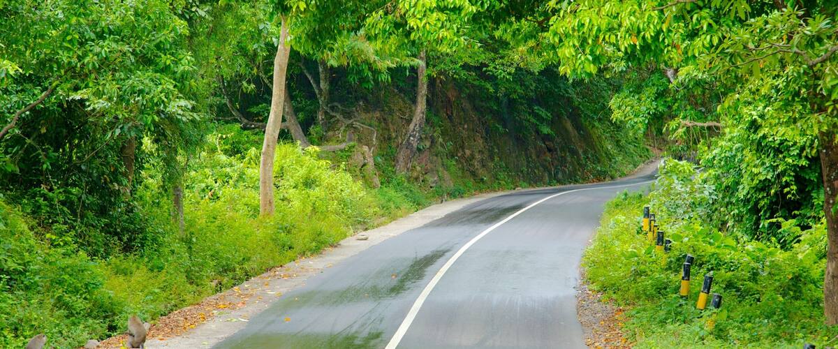 Tetebatu Monkey Forest showing tranquil scenes