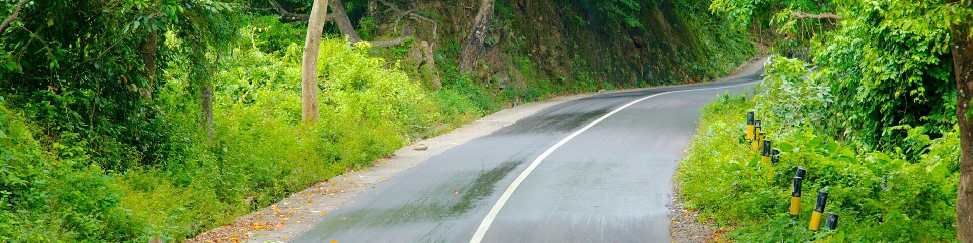 Tetebatu Monkey Forest showing tranquil scenes
