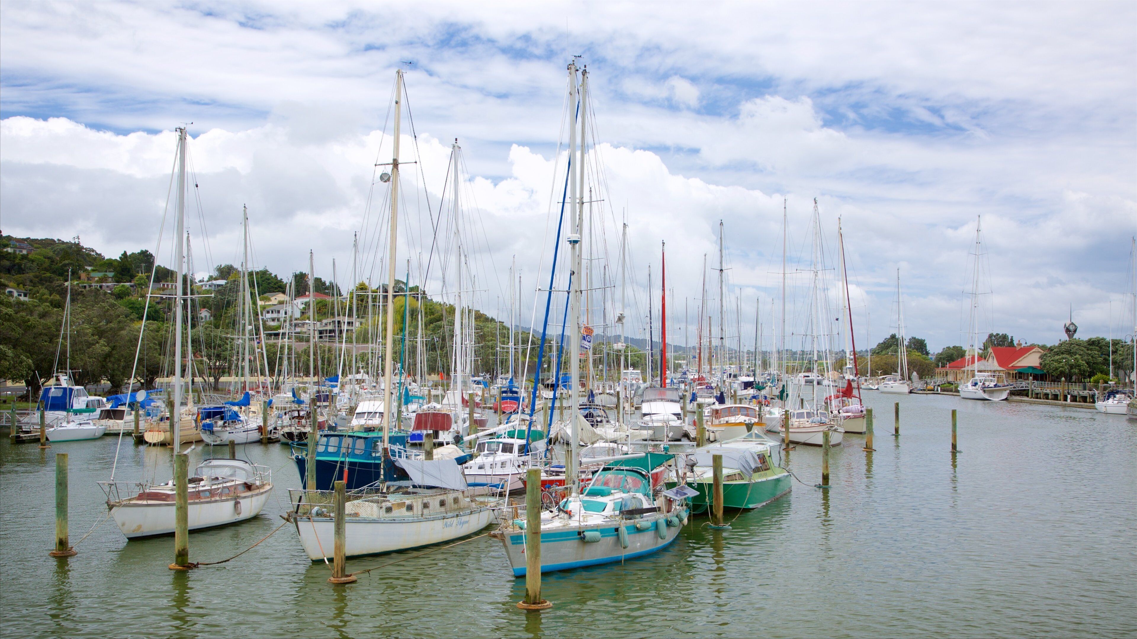 Town Basin Marina featuring sailing, a marina and a bay or harbor