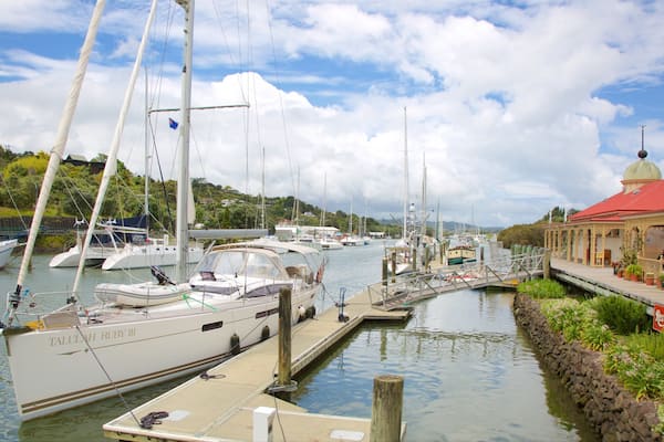 Whangarei mit einem Marina, Bucht oder Hafen und Segeln