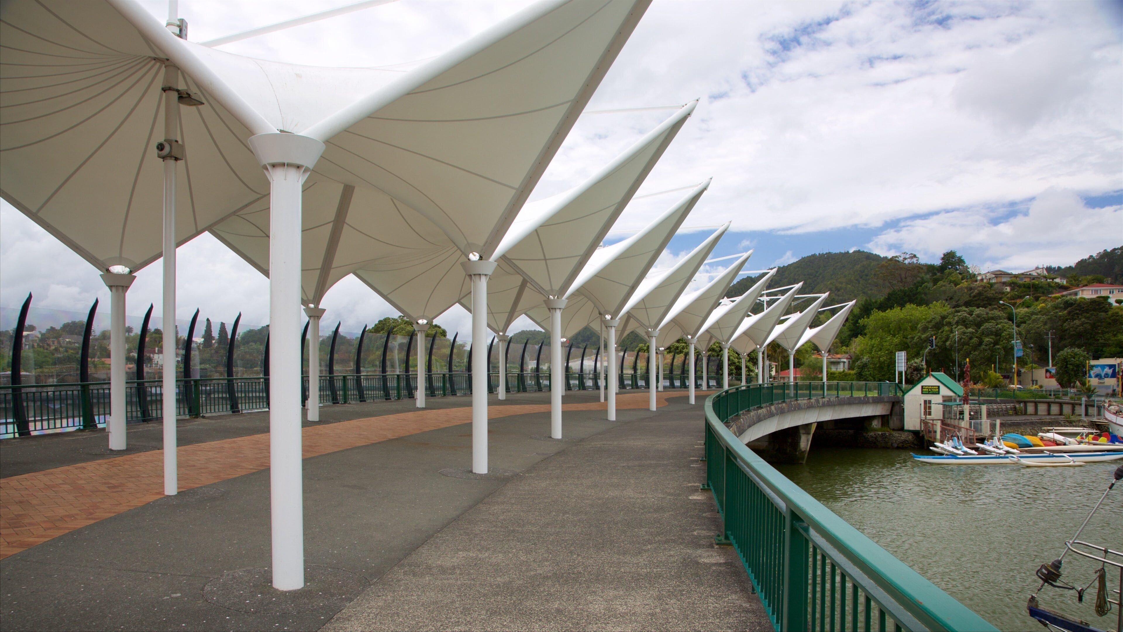 Whangarei showing a bridge and a bay or harbor
