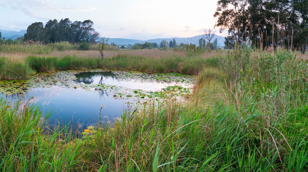 Parque natural del Delta del Ebro