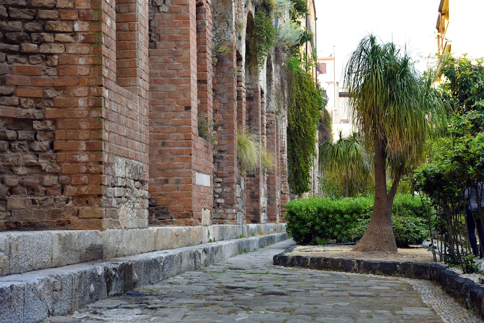 A cobblestone street flanked by ancient brick buildings with overgrown vegetation and a palm tree.