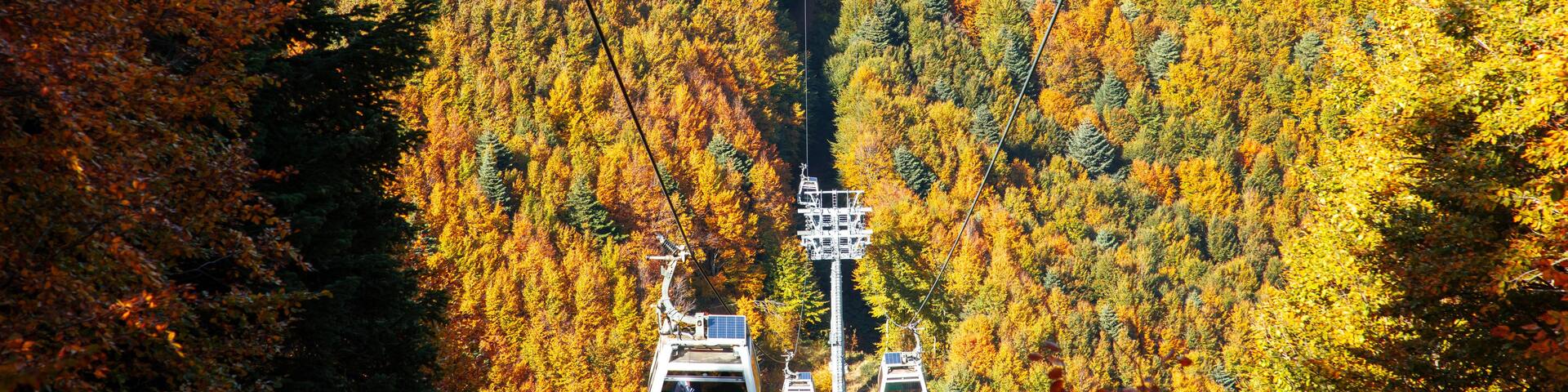 A cable car system in a forested area with autumn foliage.
