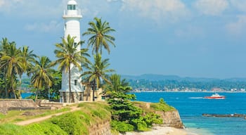 Lighthouse