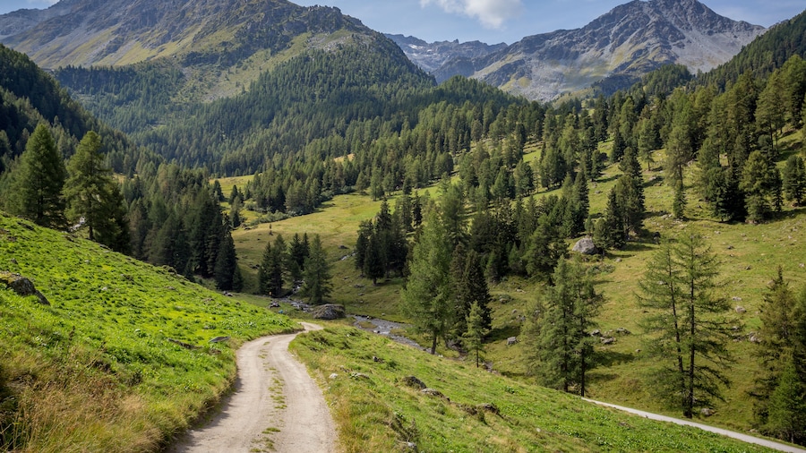 a path amid the mountain pastures of the Swiss mountains; Shutterstock ID 753523798; Purchase Order: SP-1394 HA Batch 3 Part 1; Order Number: ; Client/Licensee: HomeAway; Other: To be paid with HA bud
