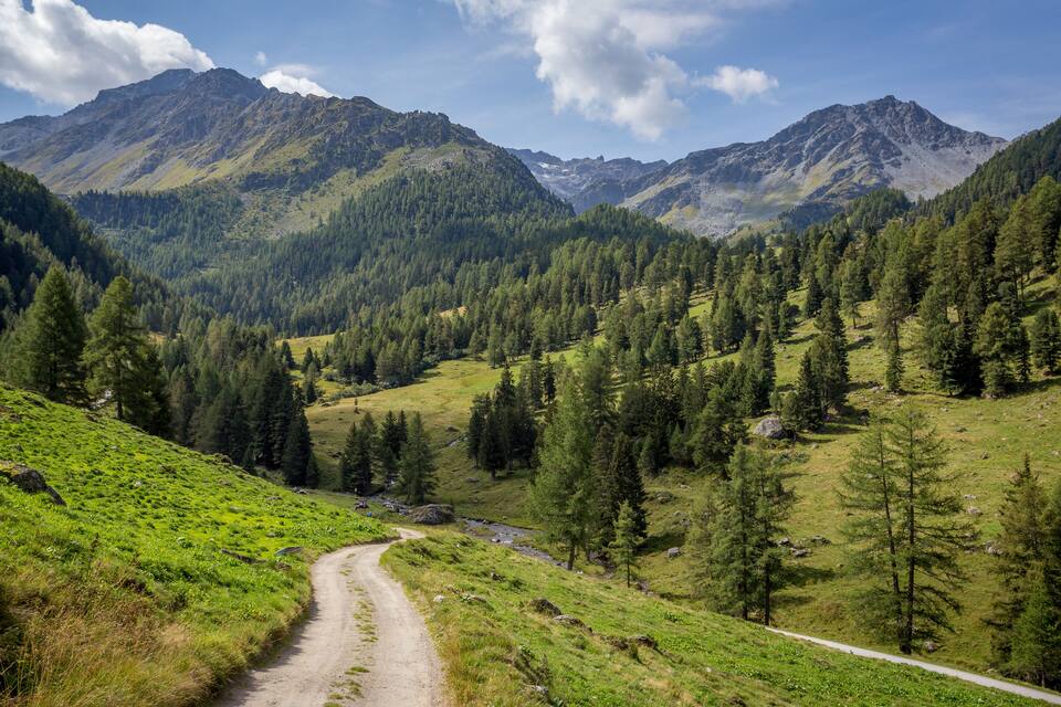 Paisaje montañoso con un sendero de tierra, bosques densos y cumbres rocosas.
