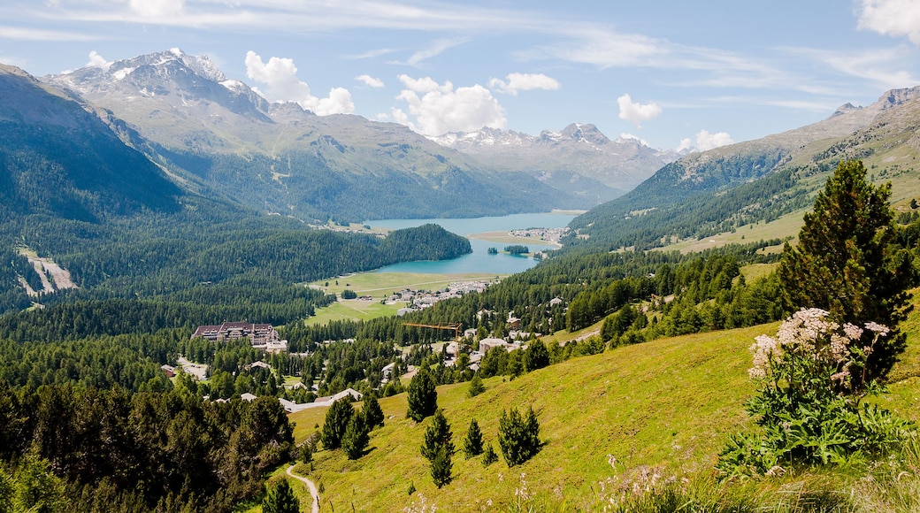 St. Moritz, Champfèr, Engadin, Oberengadin, Wanderweg, Signalbahn, Seenplatte, Alpen, Silvaplanersee, Champfèrsee, Graubünden, Sommer, Schweiz