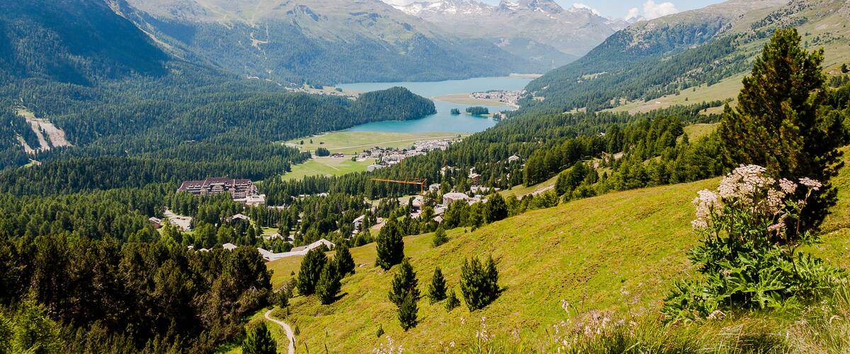 St. Moritz, Champfèr, Engadin, Oberengadin, Wanderweg, Signalbahn, Seenplatte, Alpen, Silvaplanersee, Champfèrsee, Graubünden, Sommer, Schweiz