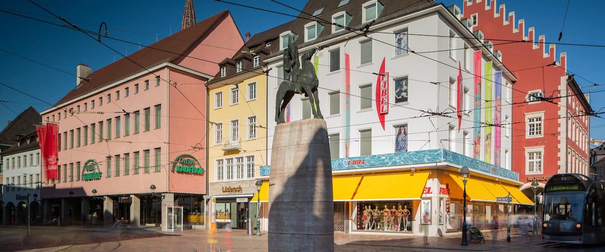 Bertoldsbrunnen which includes outdoor art and a city
