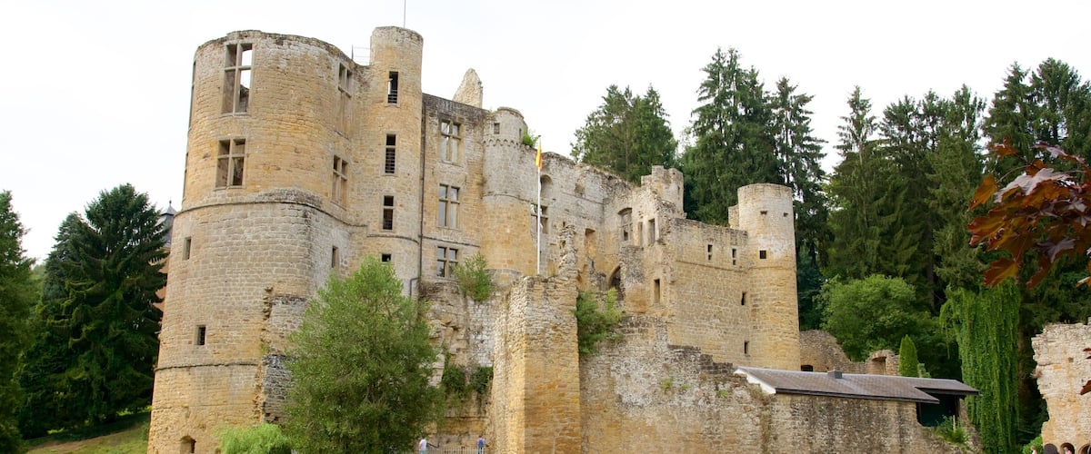A historic stone castle with multiple towers and battlements, surrounded by lush greenery and trees.
