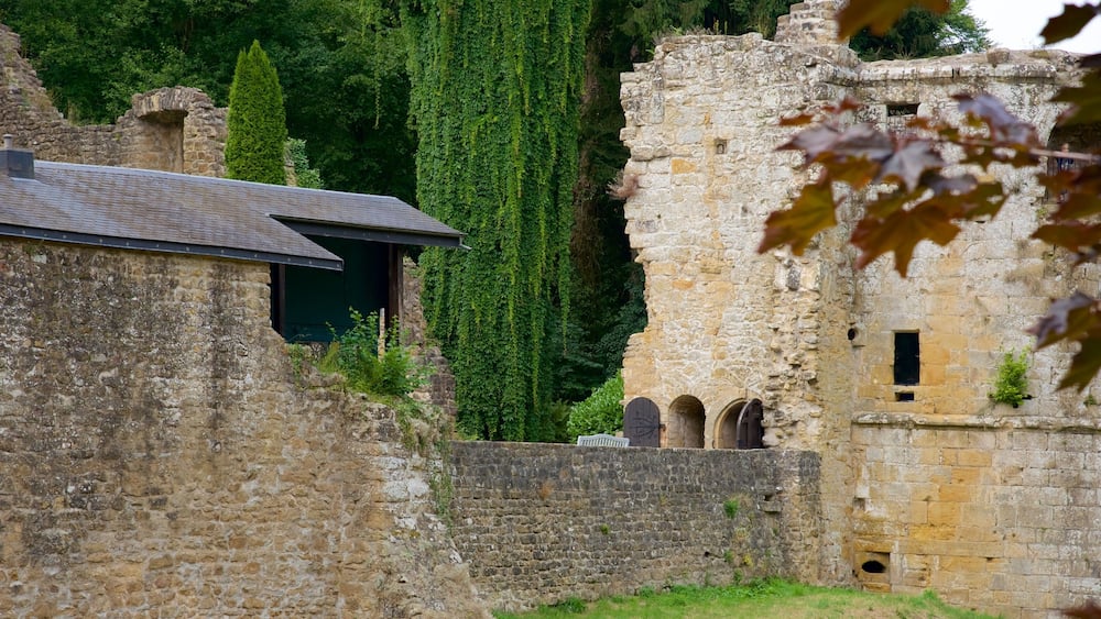Luxemburg welches beinhaltet Palast oder Schloss, historische Architektur und Geschichtliches