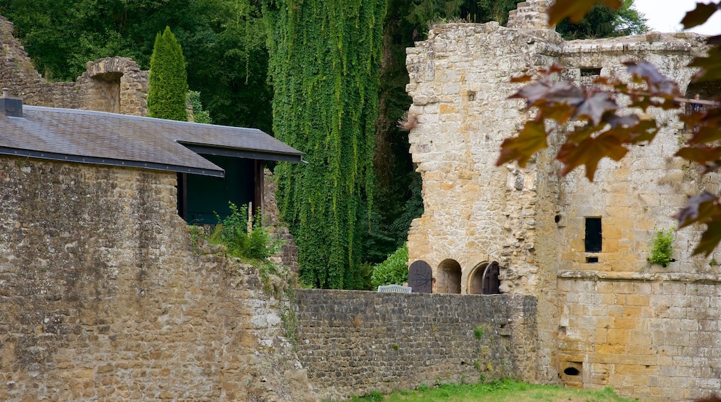 Luxembourg qui includes patrimoine architectural, patrimoine historique et chĂąteau ou palais
