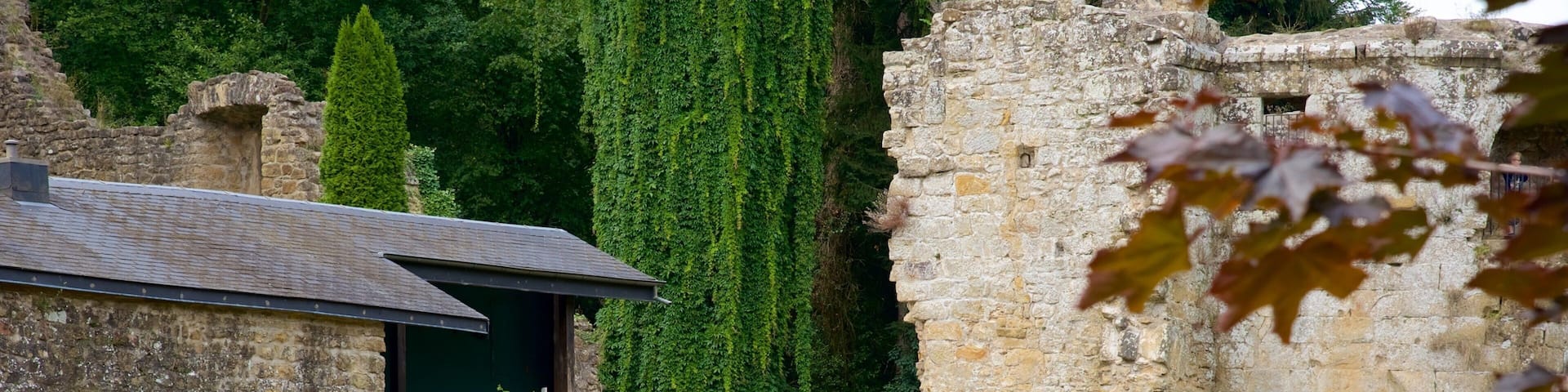 Luxembourg which includes heritage architecture, heritage elements and a castle